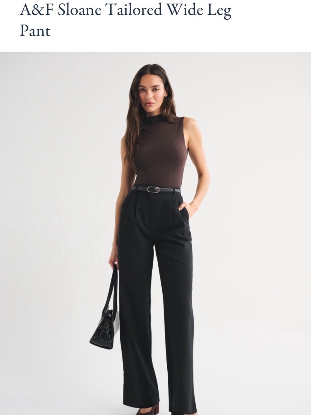 Abercrombie & Fitch Black Sloane Tailored Wide Leg Pant
